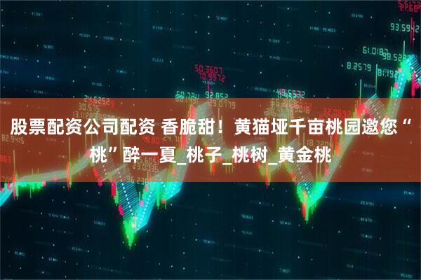 股票配资公司配资 香脆甜！黄猫垭千亩桃园邀您“桃”醉一夏_桃子_桃树_黄金桃