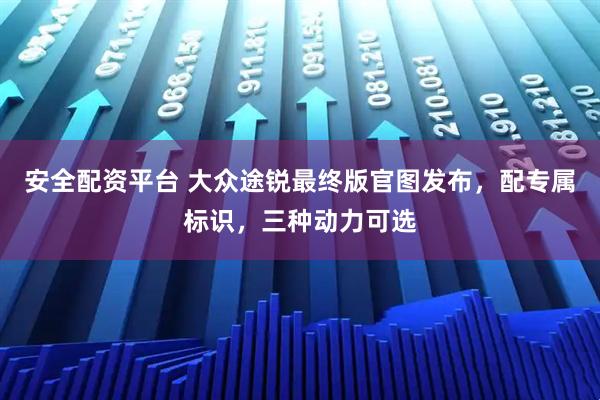 安全配资平台 大众途锐最终版官图发布，配专属标识，三种动力可选